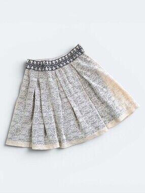 Birdcage Francesca’s Lace Overlay Pleated Mini Skirt Boho Embroidered Small